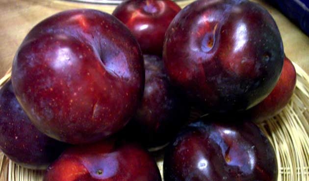 beneficios-de-la-ciruela-para-nuestra-salud2.jpg beneficios-de-la-ciruela-para-nuestra-salud2.jpg