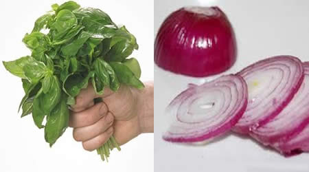 Cebollas y albahaca para las heridas de la boca