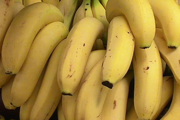 combatir_envejecimiento_piel_sensible5.jpg combatir_envejecimiento_piel_sensible5.jpg