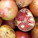 consumir-frutas-para-reducir-el-colesterol-1.jpg