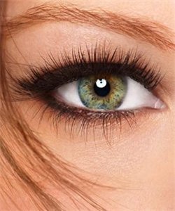 eyelashes