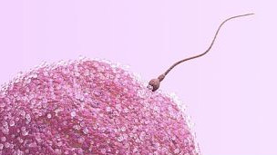 Niveles altos de la enzima aumentan el riesgo de infertilidad.
