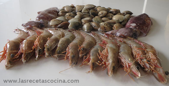 marisco fresco Zarzuela de pescado y marisco