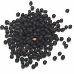 mostaza negra planta medicinal