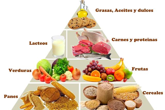 Resultado de imagen para piramide alimenticia