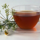 plantas medicinales para el asma3.jpg