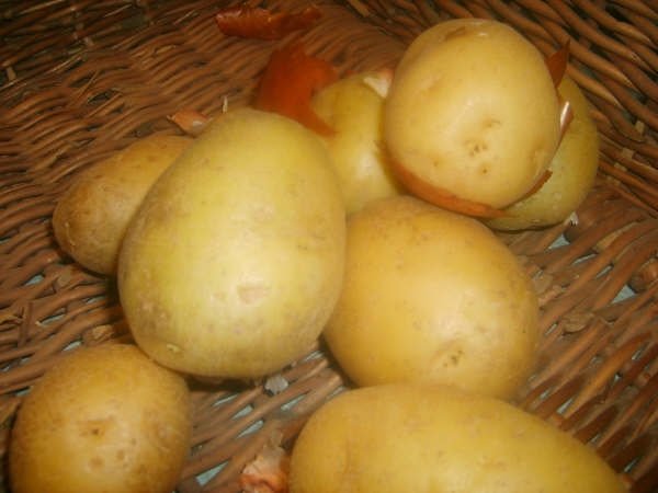 remedios_caseros_ papa2.jpg remedios_caseros_ papa2.jpg