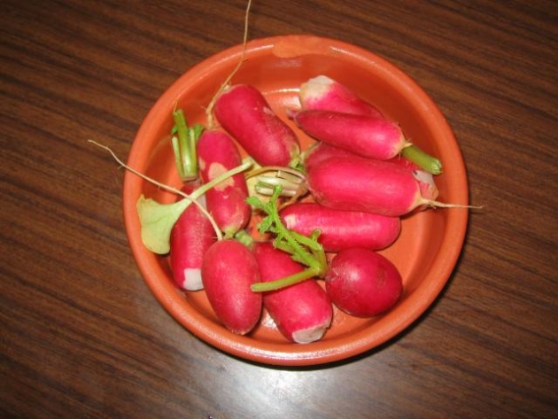 remedios_caseros_ascitis1.jpg remedios_caseros_ascitis1.jpg