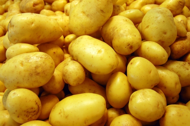 remedios_caseros_para_tratar_la_artritis3.jpg remedios_caseros_para_tratar_la_artritis3.jpg