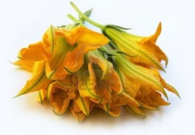 Las flores de calabaza, beneficios Las flores de calabaza, beneficios