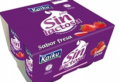 Yogurt Sin Lactosa Kaiku | sienta bien Yogurt Sin Lactosa Kaiku | sienta bien