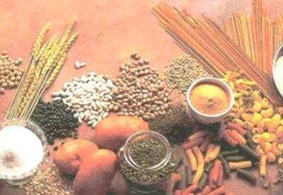 Tipos de cereales Tipos de cereales