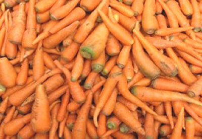 Propiedades nutritivas de la zanahoria Propiedades nutritivas de la zanahoria