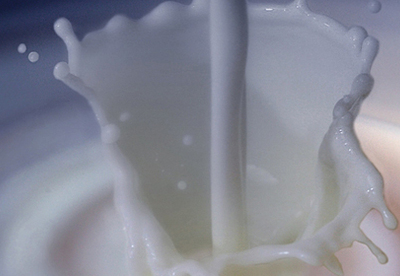 Alergia a la leche Alergia a la leche