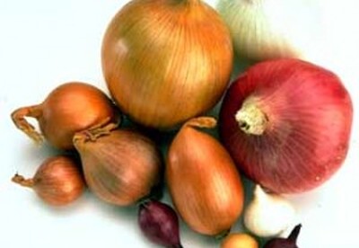 Quercetina, un flavonoide con muchas propiedades Quercetina, un flavonoide con muchas propiedades