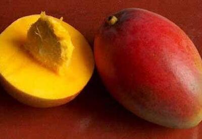 Beneficios del mango para la salud Beneficios del mango para la salud