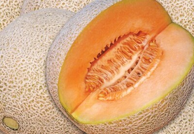 El melón y sus propiedades El melón y sus propiedades