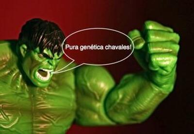 ¿Por qué hay gente que gana más masa muscular que otra? ¿Por qué hay gente que gana más masa muscular que otra?