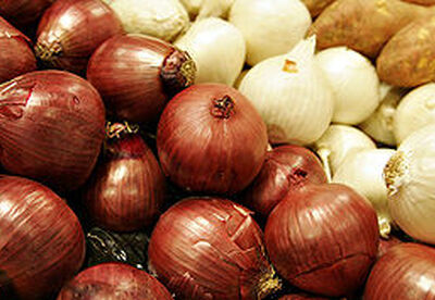 Remedios caseros para caspa y seborrea Remedios caseros para caspa y seborrea