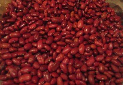 Beneficios del frijol Beneficios del frijol