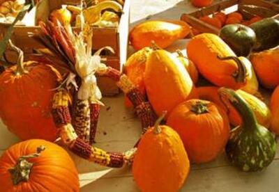 Propiedades medicinales de la calabaza Propiedades medicinales de la calabaza