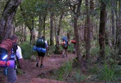 Actividades para disfrutar el aire libre en otoño Actividades para disfrutar el aire libre en otoño