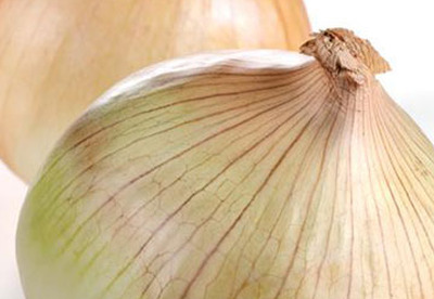 Cebolla, conservante natural de alimentos Cebolla, conservante natural de alimentos