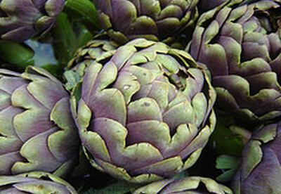 Té de alcachofa: contraindicaciones en la lactancia Té de alcachofa: contraindicaciones en la lactancia