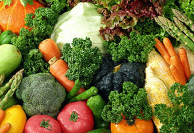 Dieta trofológica Dieta trofológica