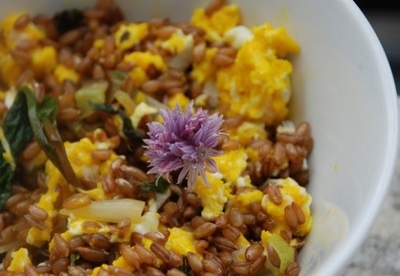 5 flores comestibles para tu mesa 5 flores comestibles para tu mesa
