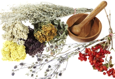 5 plantas medicinales para bajar de peso 5 plantas medicinales para bajar de peso