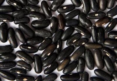 Porotos negros: Un tesoro de antioxidantes Porotos negros: Un tesoro de antioxidantes