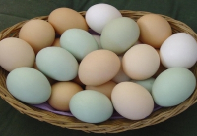 7 razones para consumir huevos 7 razones para consumir huevos