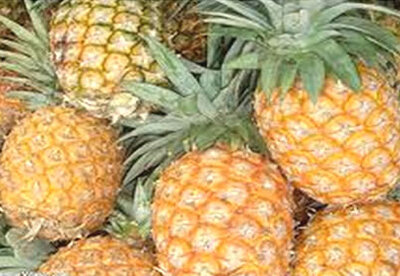 Propiedades de la piña natural Propiedades de la piña natural