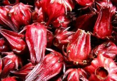 Beneficios de la flor de jamaica Beneficios de la flor de jamaica