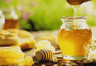 Miel, alimento de los dioses que nos regalan las flores Miel, alimento de los dioses que nos regalan las flores