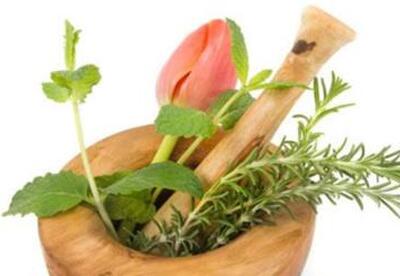 Hierbas medicinales para bajar el colesterol Hierbas medicinales para bajar el colesterol