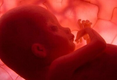 Conoce el sexo del bebé mediante un análisis de sangre Conoce el sexo del bebé mediante un análisis de sangre
