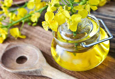 Aceite de canola propiedades y usos Aceite de canola propiedades y usos