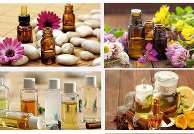 Aceites esenciales para subir las defensas naturalmente Aceites esenciales para subir las defensas naturalmente
