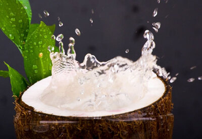 Agua de coco, una fuente de salud Agua de coco, una fuente de salud