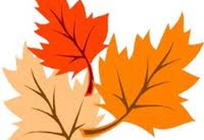 Alimentación de otoño Alimentación de otoño