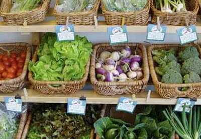 Alimentos orgánicos Alimentos orgánicos