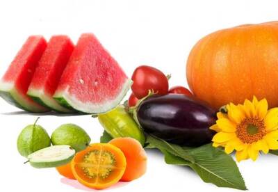 Alimentos para mejorar tu circulación Alimentos para mejorar tu circulación
