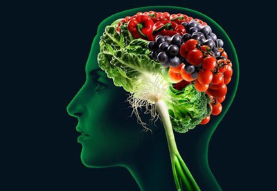 Alimentos para nutrir el cerebro Alimentos para nutrir el cerebro