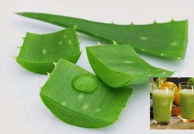 Aloe vera para bajar de peso Aloe vera para bajar de peso