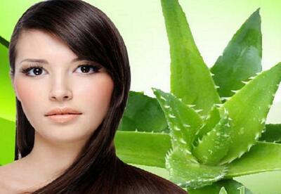 Aloe vera para la caída del cabello Aloe vera para la caída del cabello