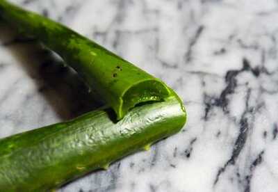 Aloe vera para las hemorroides tratamiento casero Aloe vera para las hemorroides tratamiento casero