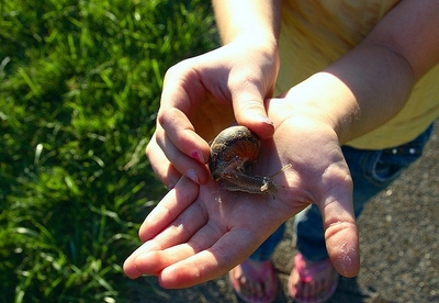 Baba de caracol para el cuidado de la piel Baba de caracol para el cuidado de la piel