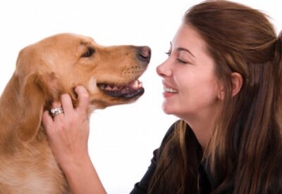Beneficios de tener mascotas Beneficios de tener mascotas